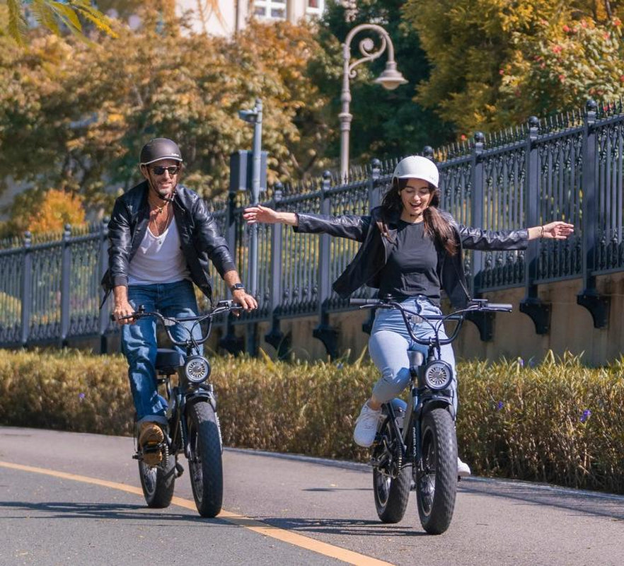 MEELOD DK200 Electric Bike