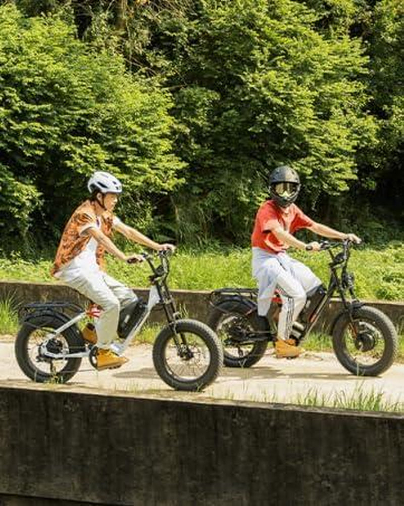 Eahora Luna I /Luna II Peak 1500W/3000W Electric Bike for Adults 30-33MPH 80Miles Long Range Dual Motors Ebike 48V 15A Battery Full Suspension Adult Electric Bike