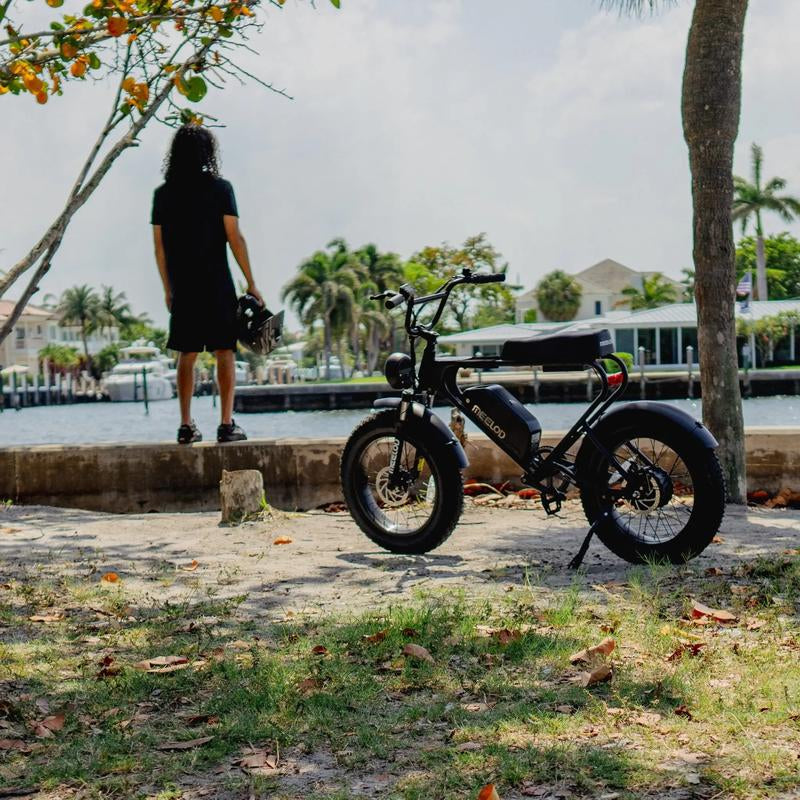 MEELOD DK200 Electric Bike