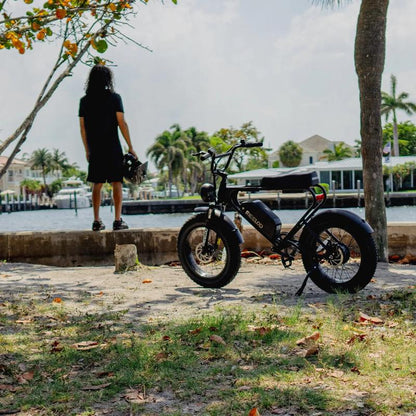 MEELOD DK200 Electric Bike